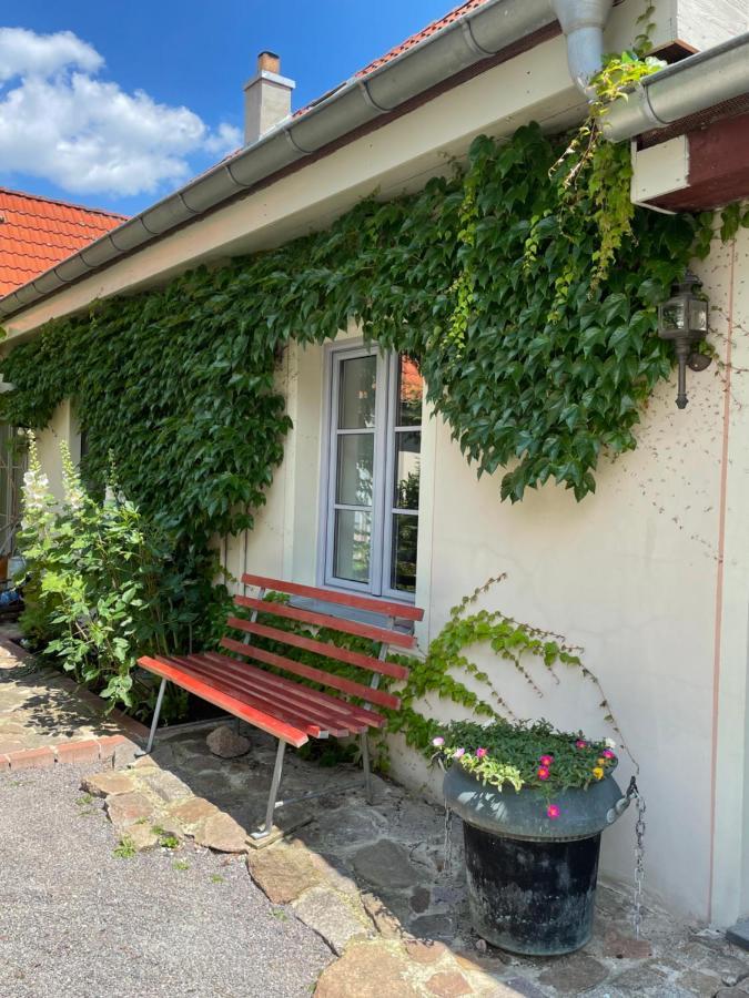 Fewo Im Kneipenviertel Altkoetzschenbroda Radebeul Exterior photo
